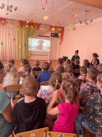 Эколята - молодые защитники природы